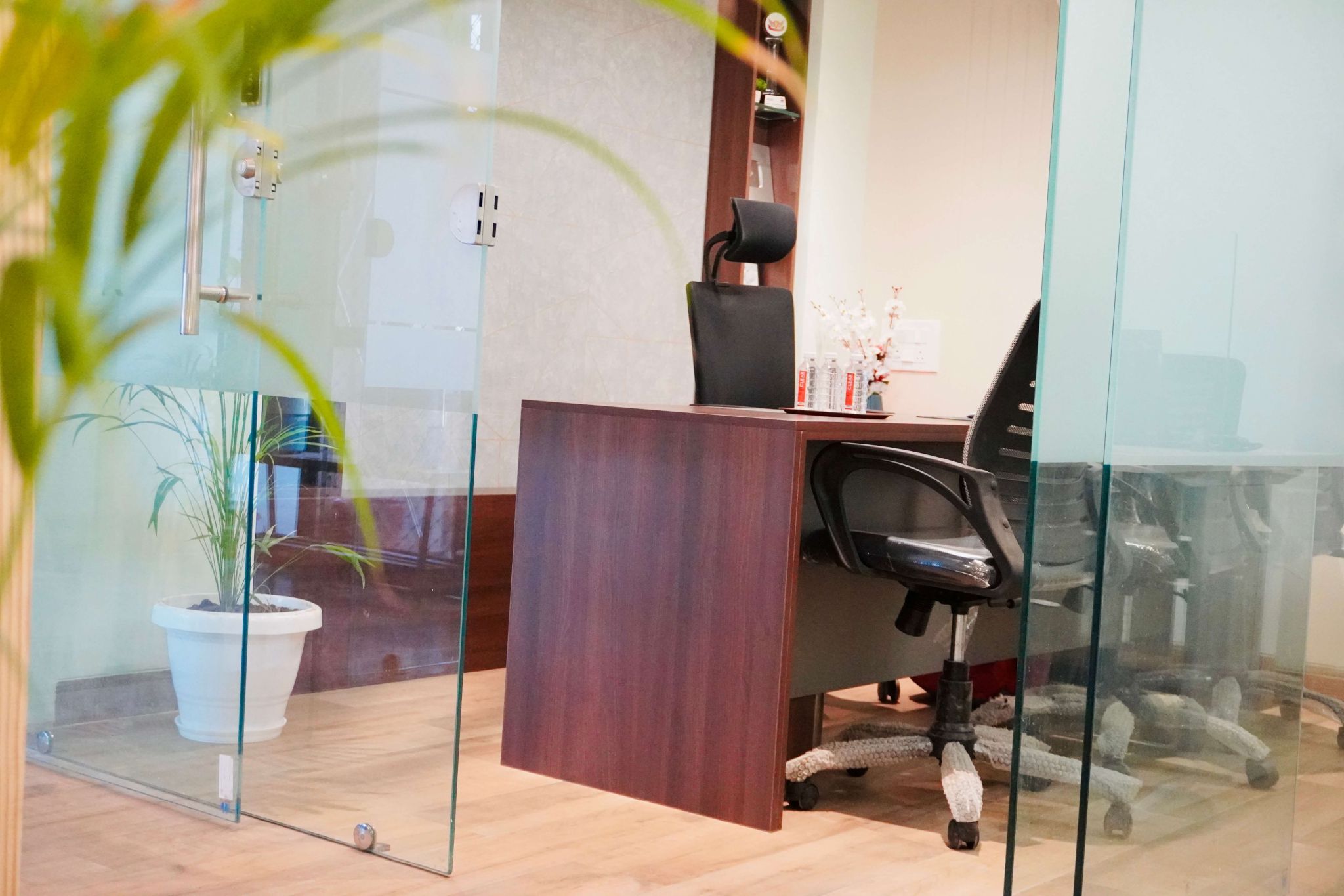 3i Planet office 2