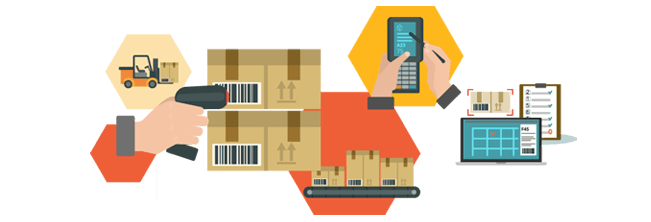Inventory Software Development in Udaipur