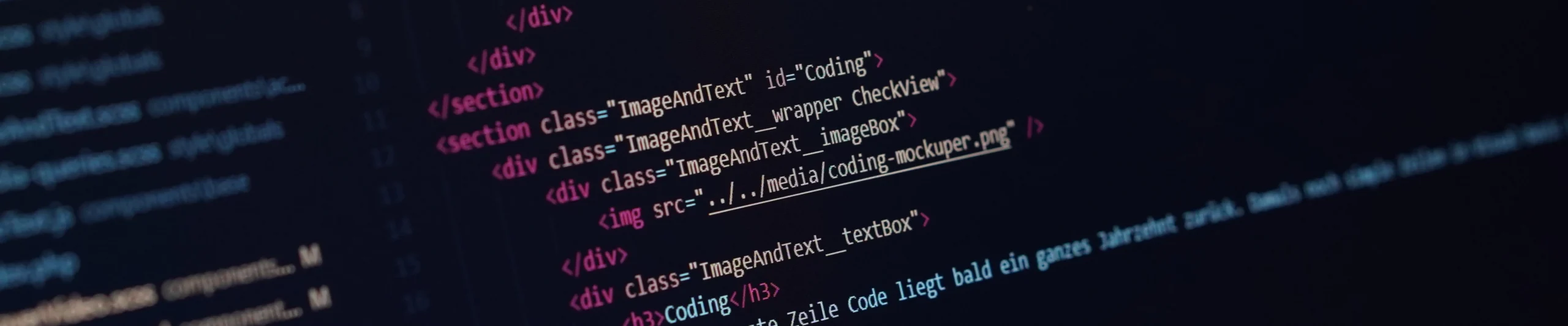 Magento Website Development