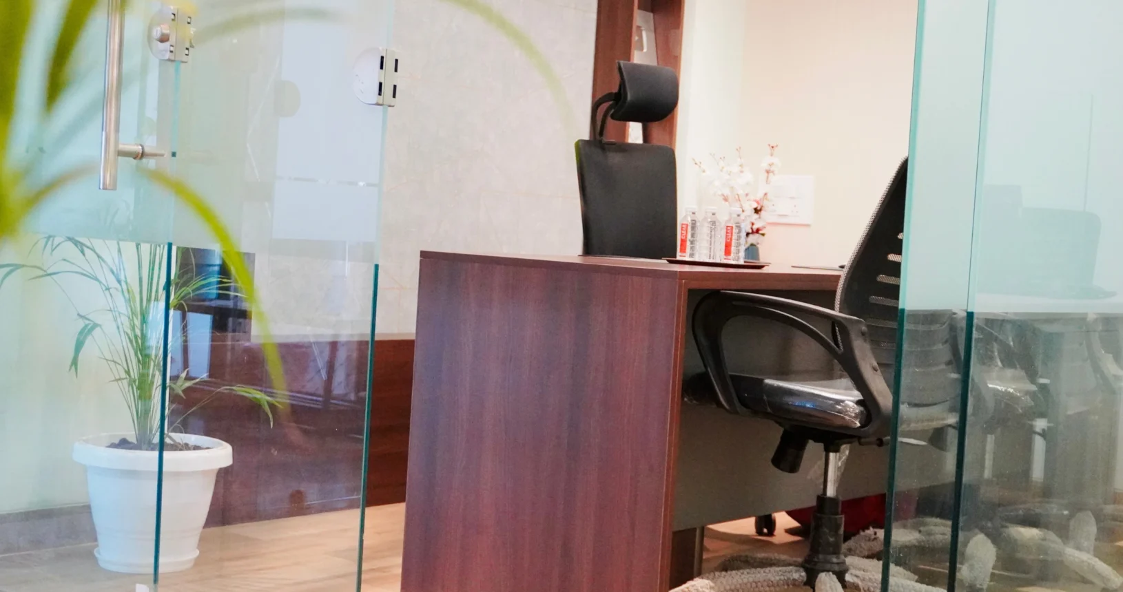 best web development company in udaipur